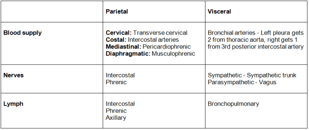 parietal pleura and visceral pleura blood supply, innervation and lymphatic drainage