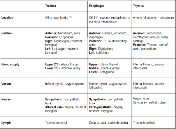Trachea, esophagus, thymus location, relation, blood supply, venous, nerves, lymph drainage