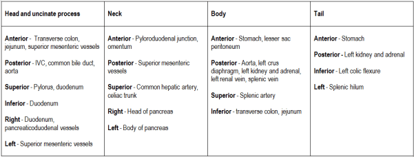 Relations to parts of stomach
stomach relations