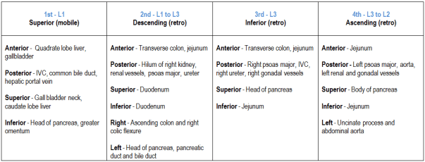 Relation to duodenum
parts of duodenum relations