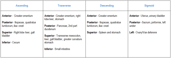 Large intestine relations
parts of large intestine relations