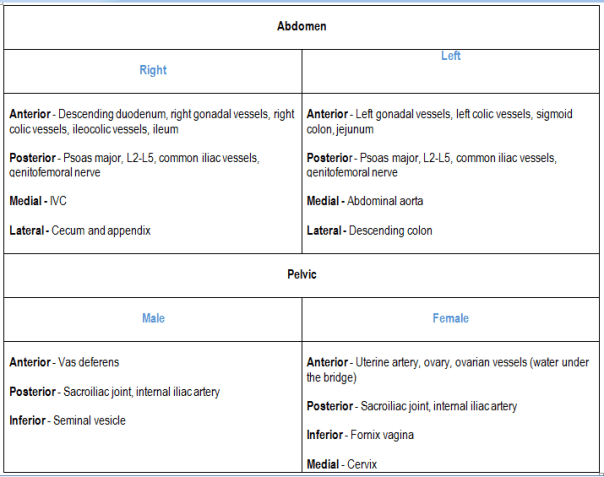 Relation of ureter in male and female in abdomen and pelvis, right and left