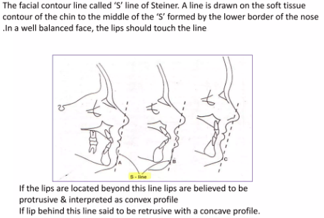 Soft tissue analysis
Steiner's analysis