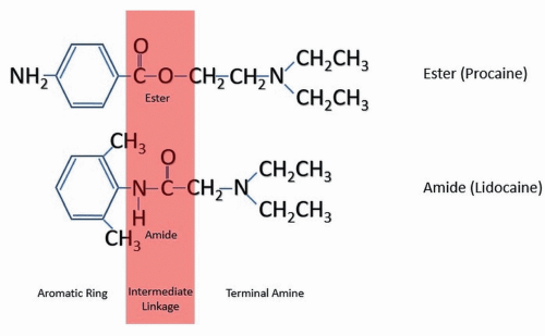 Structure of local anesthesia