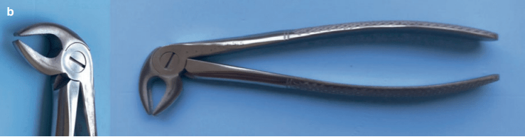Mandibular premolar forceps