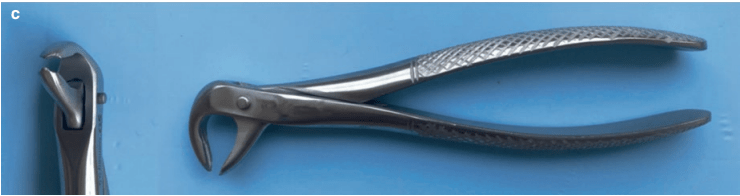 Mandibular molar forceps