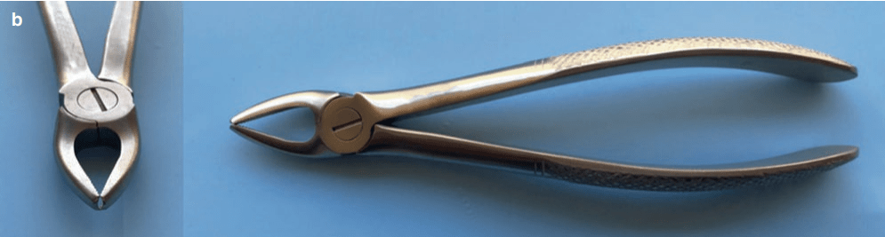 maxillary premolar forceps
