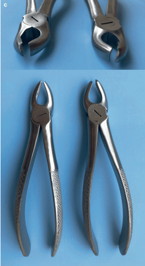 Maxillary molar forceps