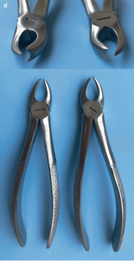 Maxillary cow horn forceps 
