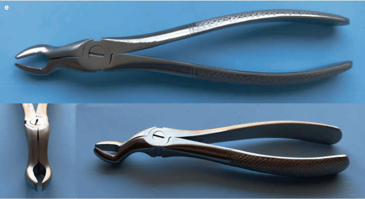 maxillary 3rd molar foreps